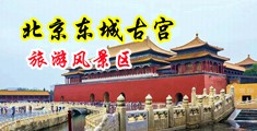 老黑逼av中国北京-东城古宫旅游风景区